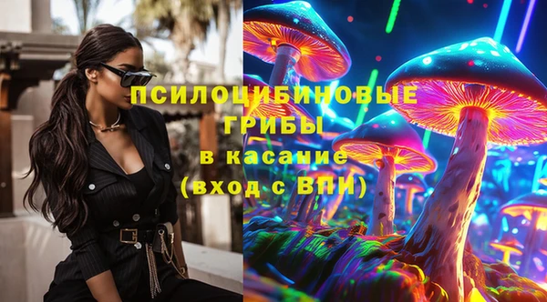 сатива Армянск