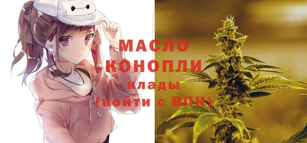 сатива Армянск