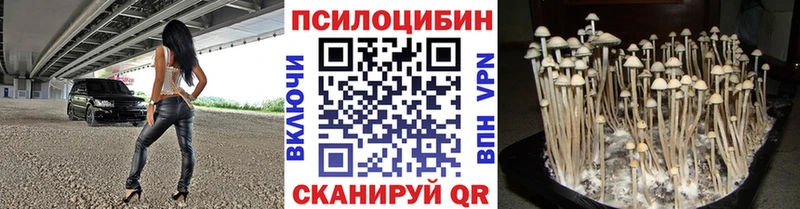 Псилоцибиновые грибы MAGIC MUSHROOMS Бологое